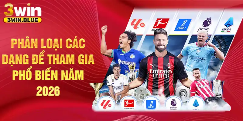 Phân loại các dạng để tham gia phổ biến năm 2026