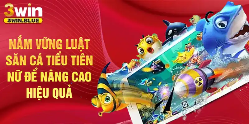 Nắm vững luật săn cá Tiểu Tiên Nữ để nâng cao hiệu quả