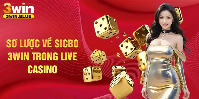 Sơ lược về sicbo 3Win trong live casino