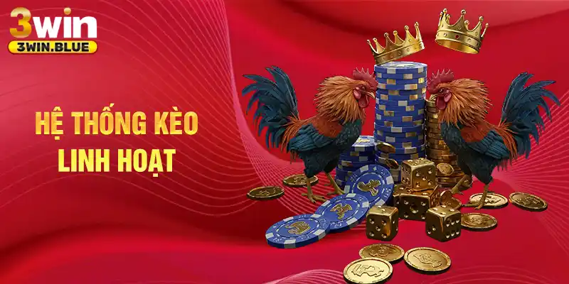 Hệ thống kèo linh hoạt