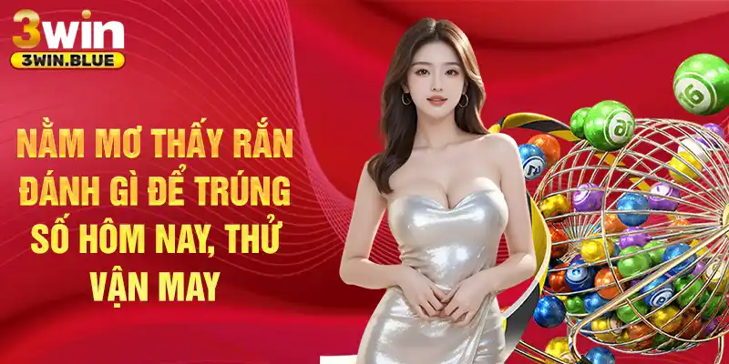 Nằm mơ thấy rắn đánh gì