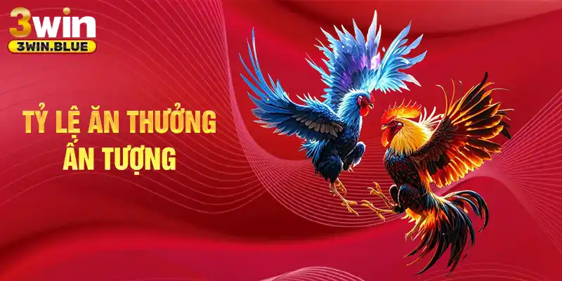 Tỷ lệ ăn thưởng ấn tượng